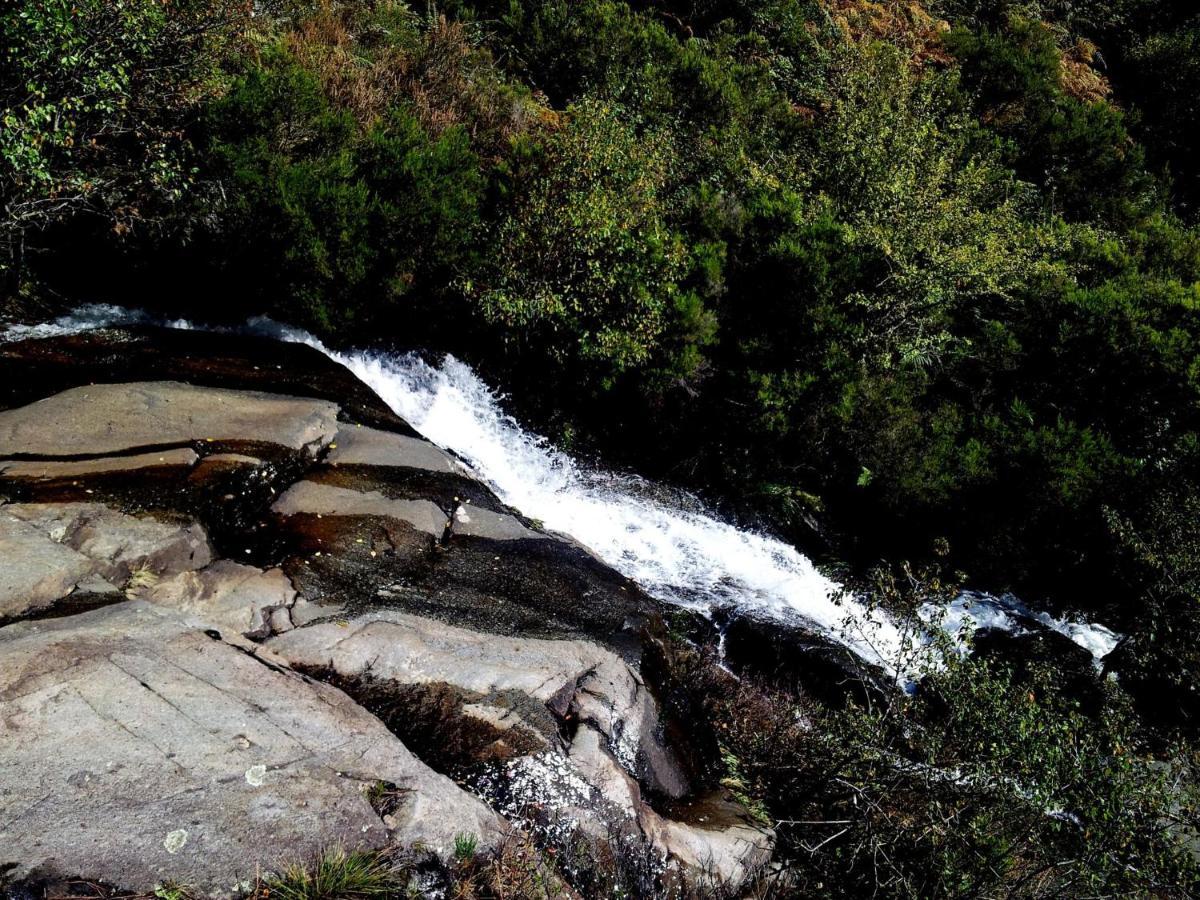 Chez Louise: Onde A Serra Beija O Ceu Lousã Exterior foto