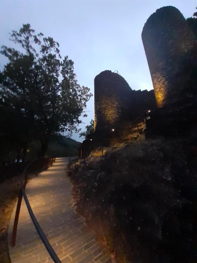 Chez Louise: Onde A Serra Beija O Ceu Lousã Exterior foto