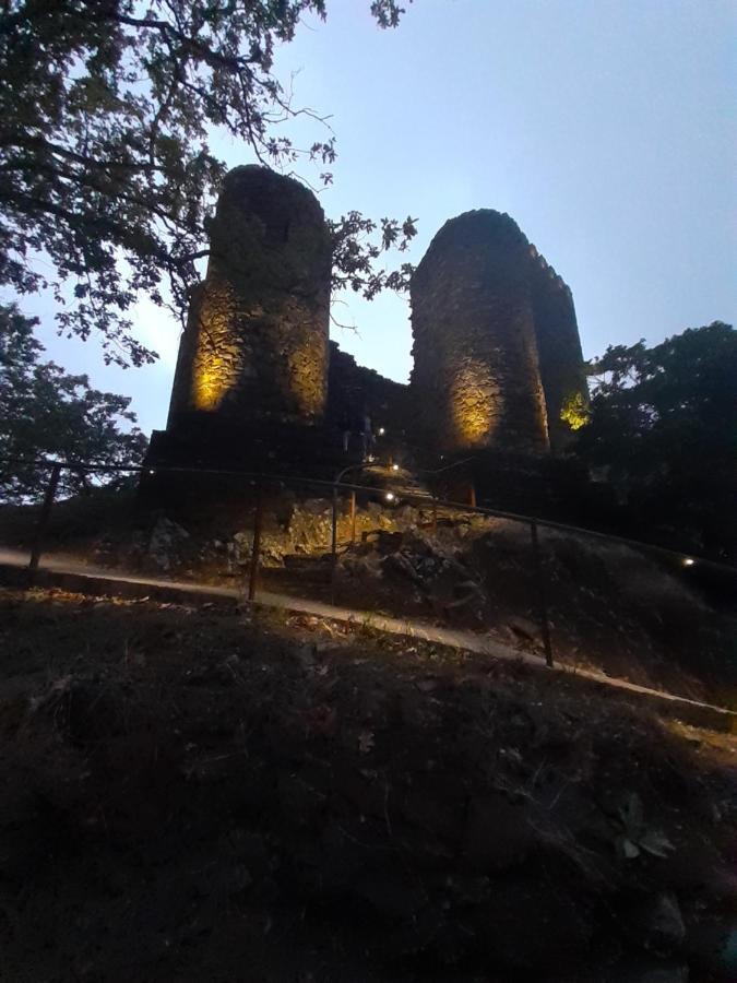 Chez Louise: Onde A Serra Beija O Ceu Lousã Exterior foto